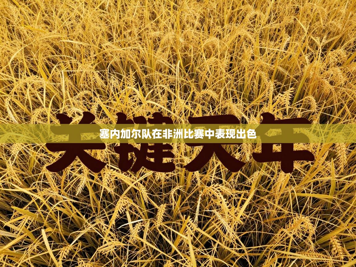 塞内加尔队在非洲比赛中表现出色  第2张